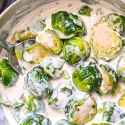 Creamy Brussels sprouts is a perfect Thanksgiving side dish