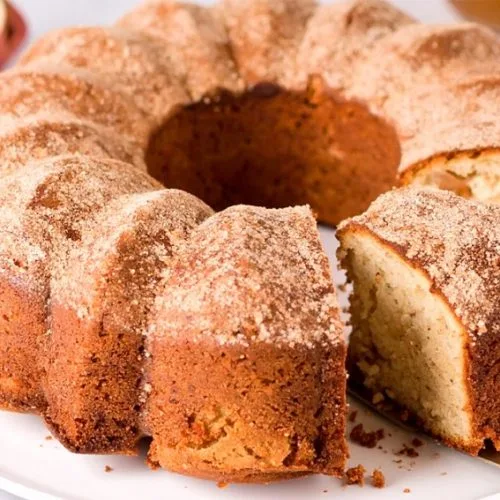 Apple cider cake with sugar cinnamon coating