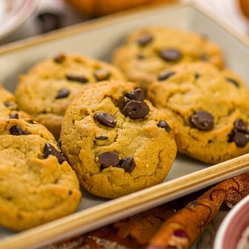 Simple and classic Pumpkin cookies with chocolate chips