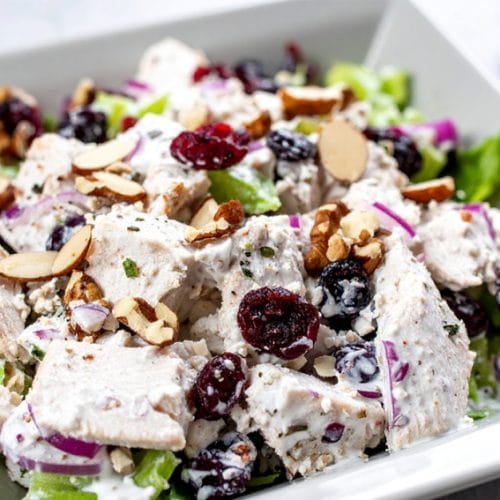 Cranberry chicken salad with dried cranberries, celery, nutd, coated with creamy salad dressing